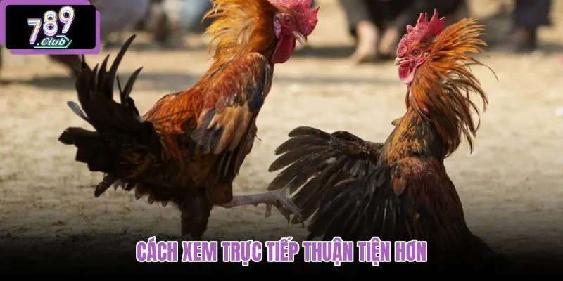 cach-xem-truc-tiep-thuan-tien-hon cach-xem-truc-tiep-thuan-tien-hon